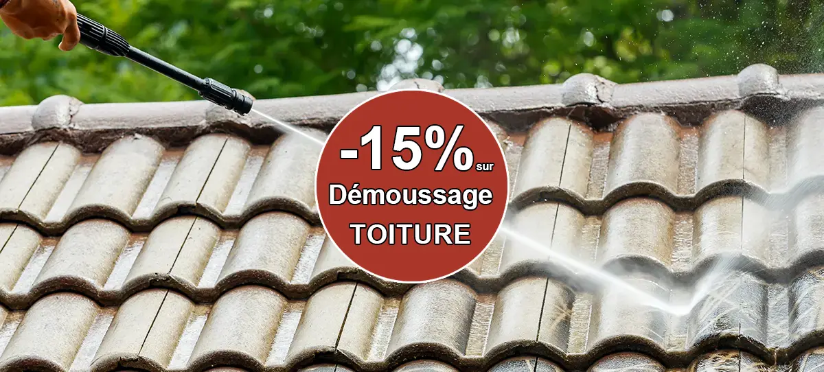 promo demoussage toiture 78