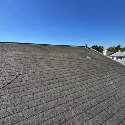 couvreur 78810 demoussage toiture feucherolles 1