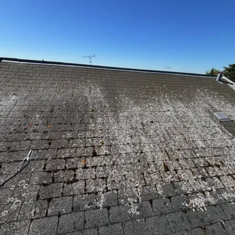 couvreur 78810 demoussage toiture feucherolles 2