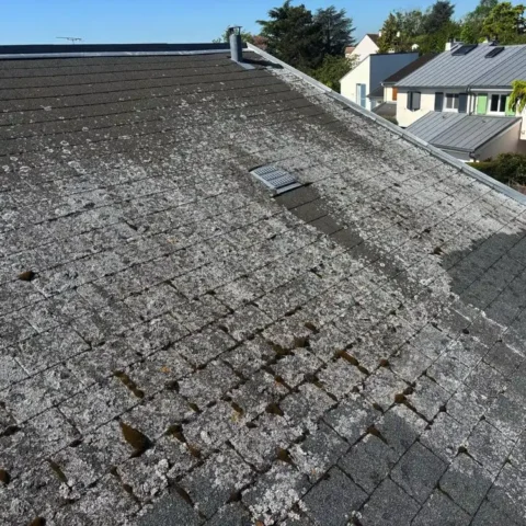 couvreur 78810 demoussage toiture feucherolles 4