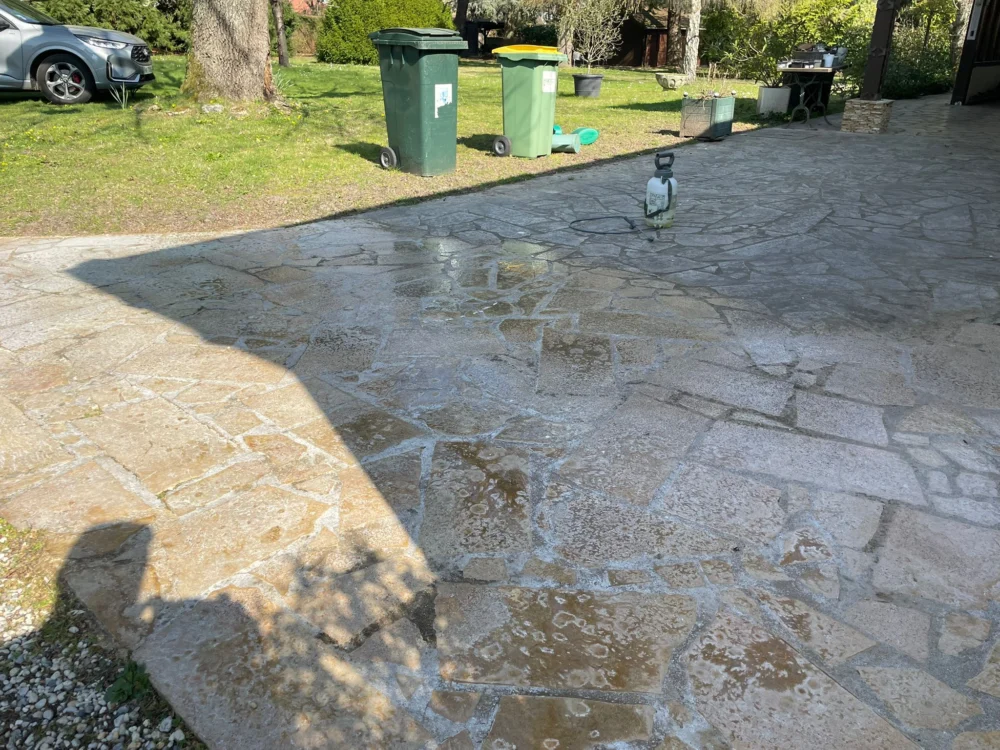 Nettoyage Démoussage Dallage et Toiture Crespières a Crespières 78121 - vue generale