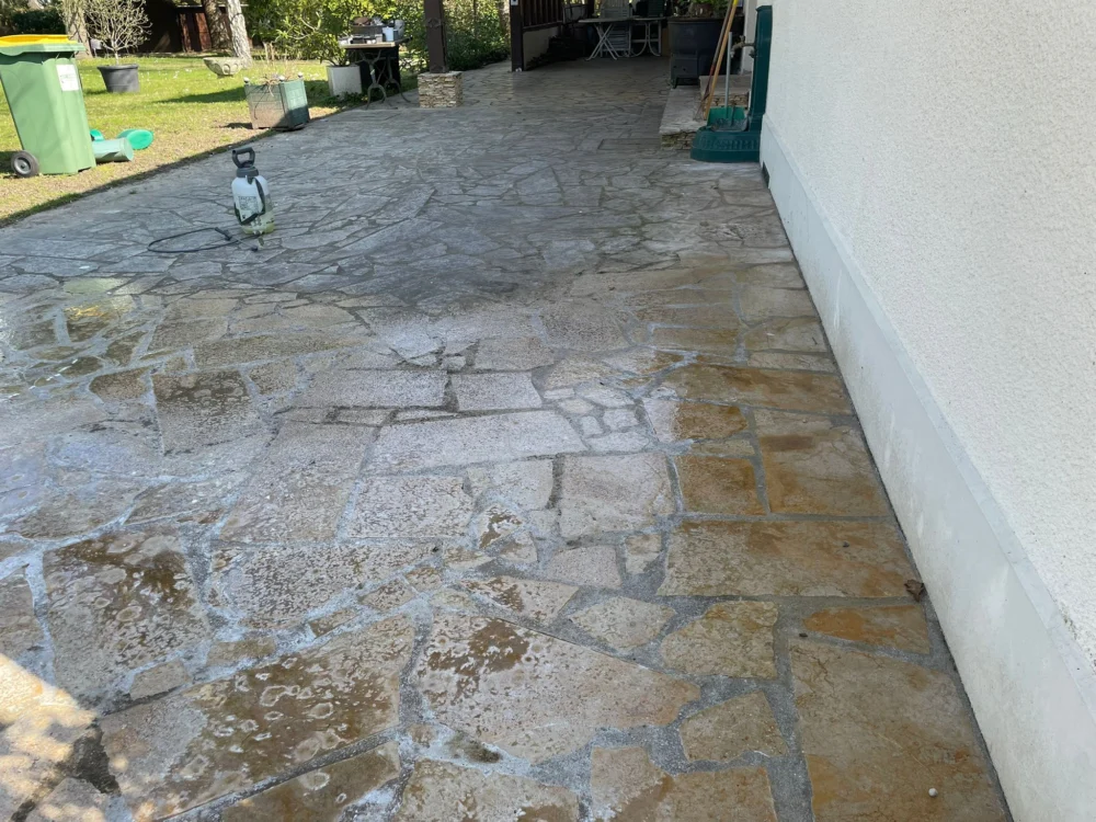 Nettoyage Démoussage Dallage et Toiture Crespières a Crespières 78121 - en cours